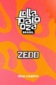 Zedd no Lollapalooza 2025