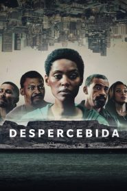 Despercebida – Temporada 2