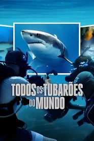 Todos os Tubarões do Mundo
